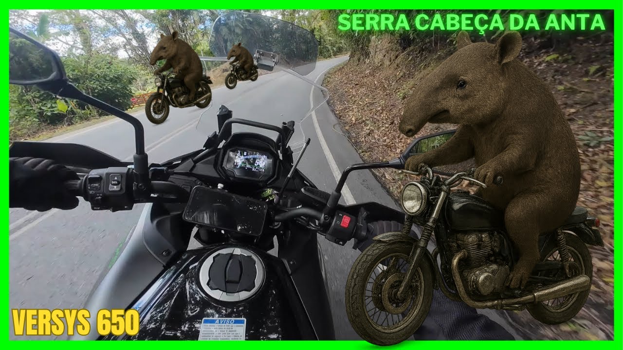 Serra Cabeça da Anta (SP) | Versys 650