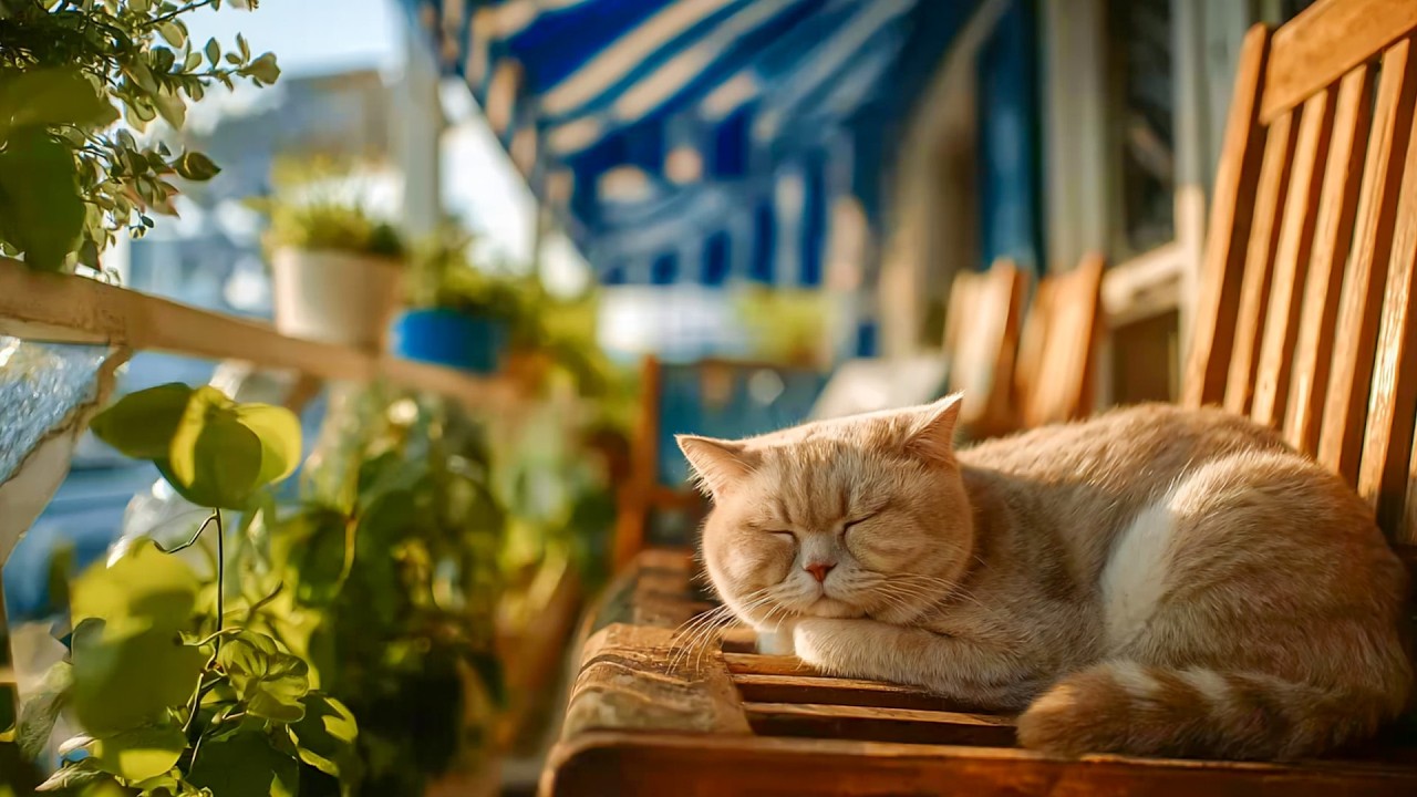 Restful Moments for Your Kitty 🎶 Relaxing Music to Soothe, Calm, and Bring Happiness to Your Cat 😻