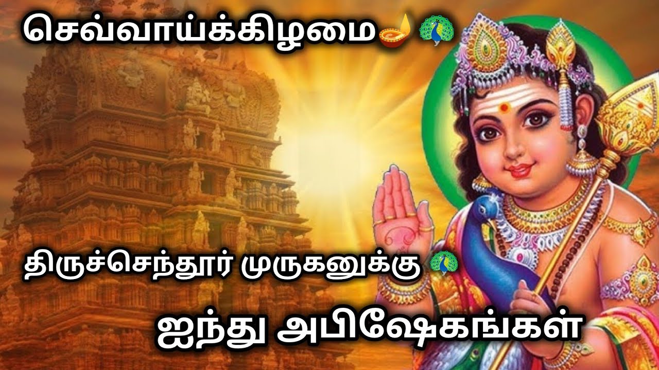 செவ்வாய்க்கிழமை🪔திருச்செந்தூர் முருகனுக்கு🦚 ஐந்து அபிஷேகம்🦚#murugan#Abhishekam#viralvideo