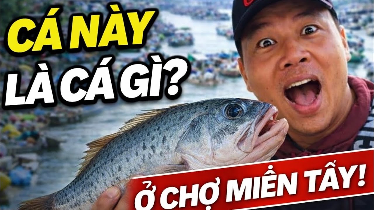 Chợ Kênh Quýt An Giang – Lần đầu thấy cá “chủm bu” to bự ở chợ miền Tây #mientay #choquemientay 