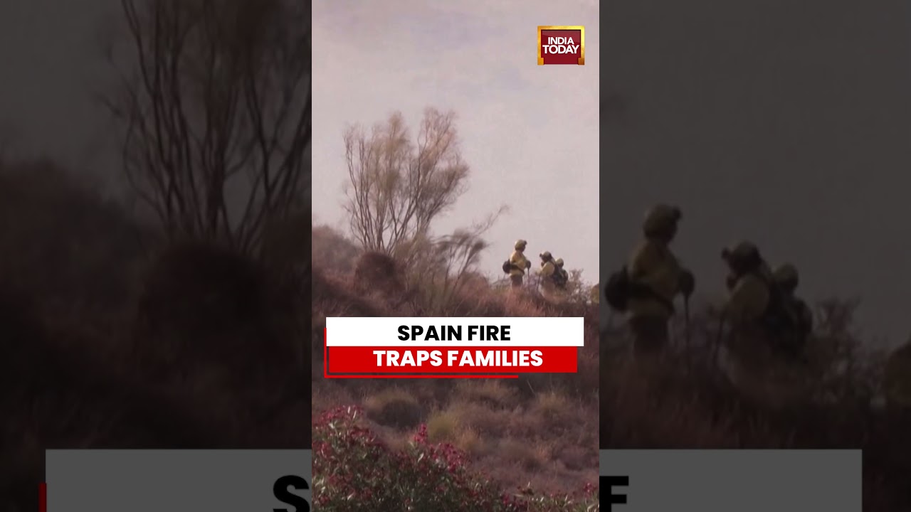 WATCH: Spain Wildfire Kills 12 After Victims Get Trapped In Vehicles | #spain #fire #wildfire