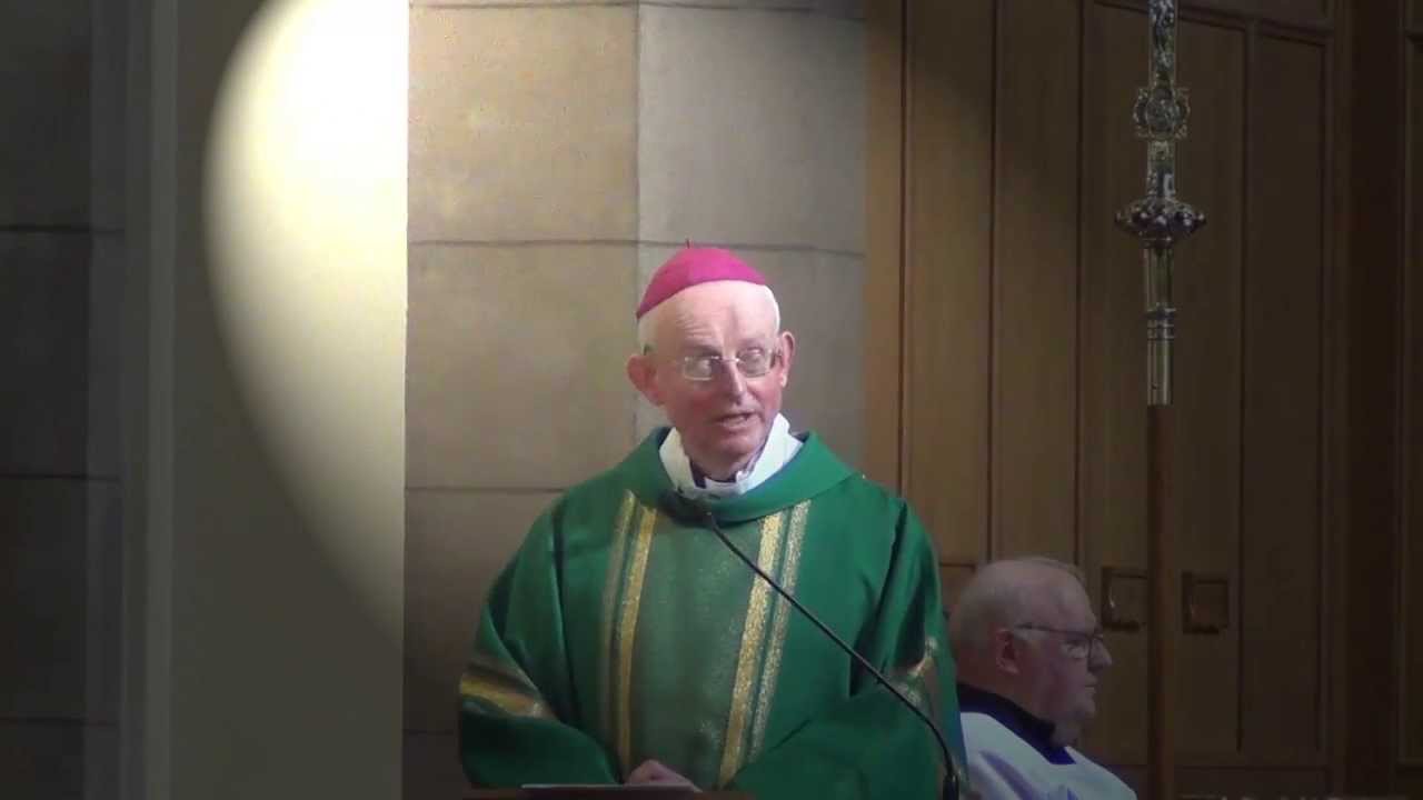 Homily : 7th Sunday in Ordinary Time