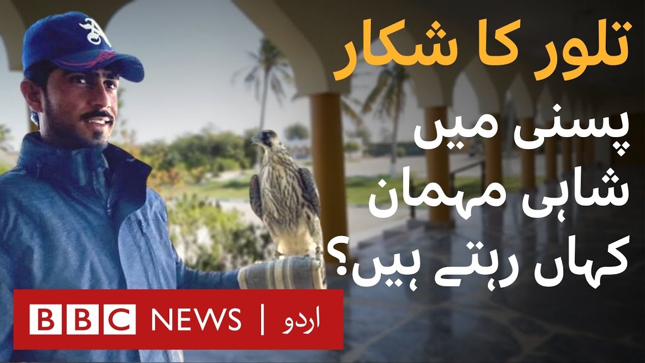 Houbara Bustards' Hunt: Where do royal guests live in Pasni's 