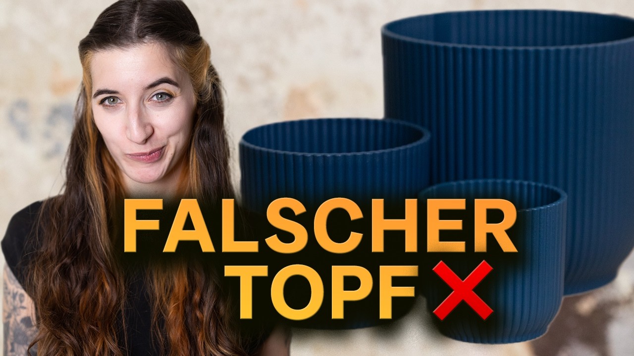 Die richtige Topfgröße für Zimmerpflanzen 🌿 Zu groß oder zu klein?