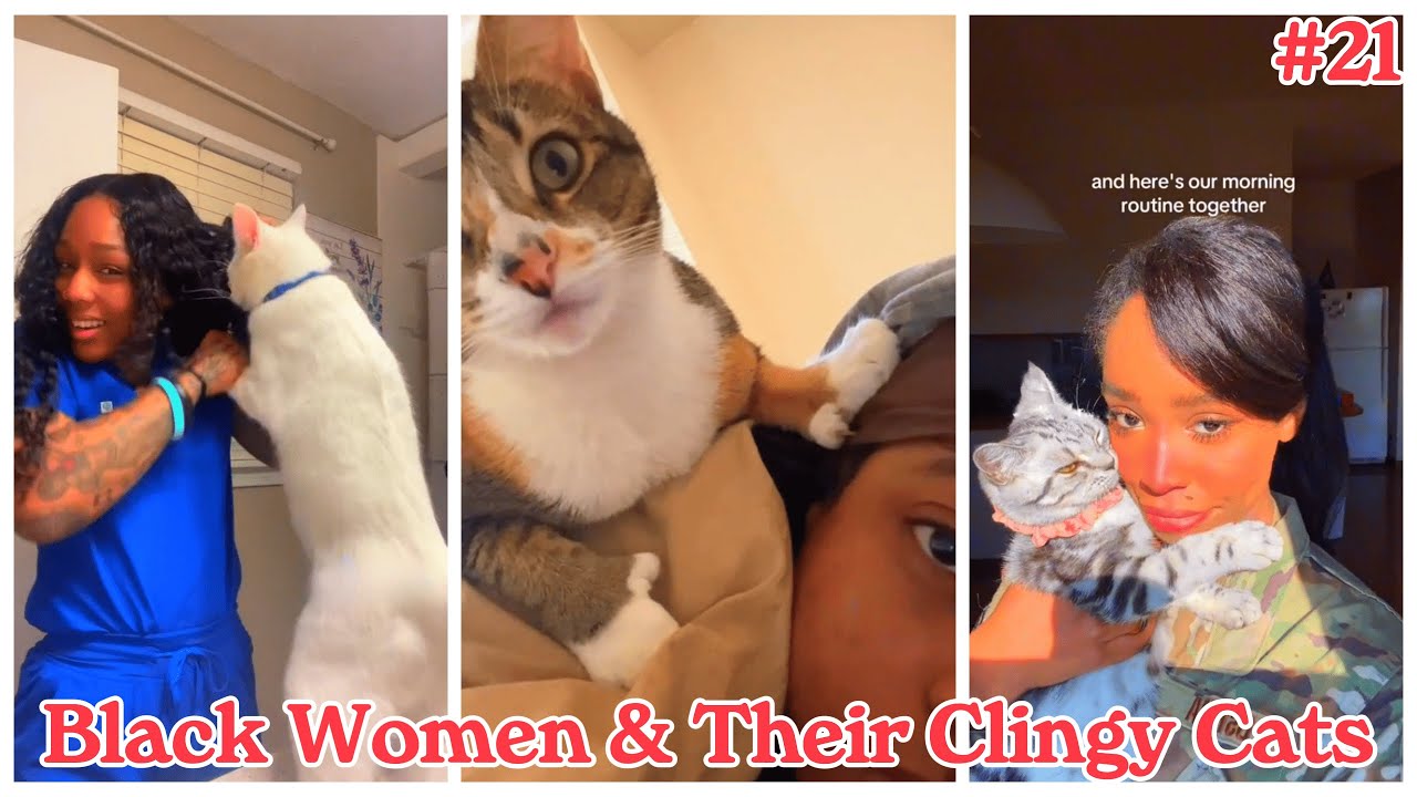 Black Women & Their Clingy Cats #20 | LUCKY UPDATE 🐾 | Funny TikTok Compilation 2026 #cat #cats