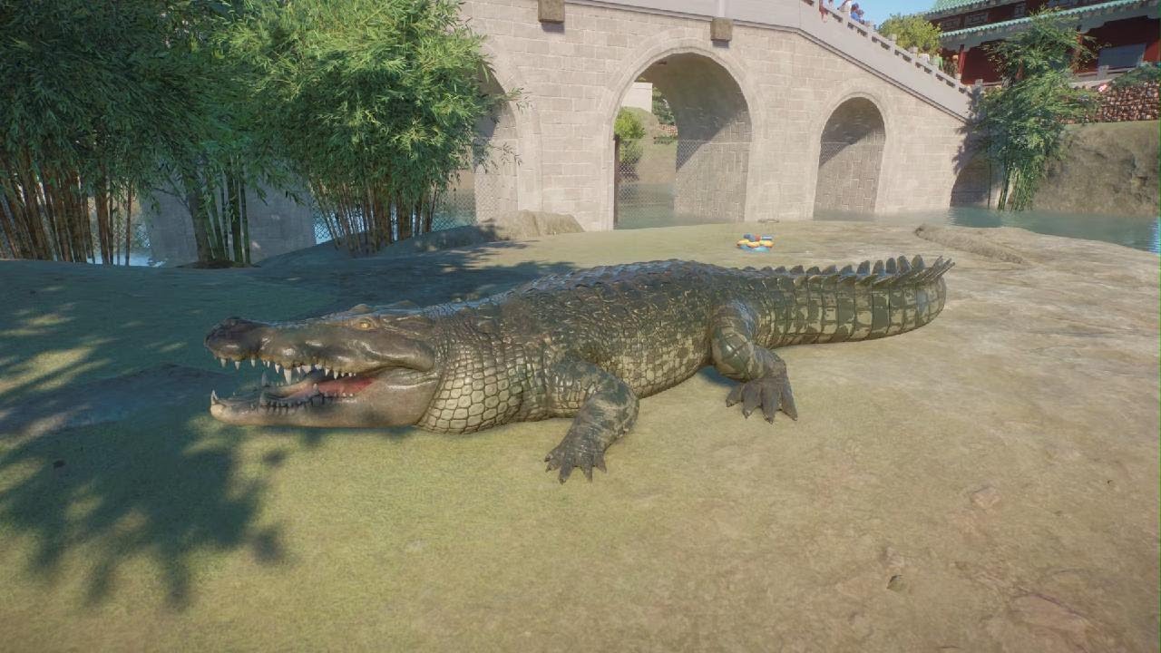 Planet Zoo: Saltwater Crocodile