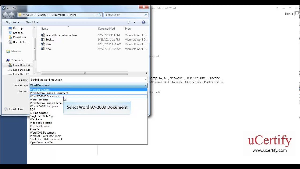 Save The Document And Run Compatibility Checker