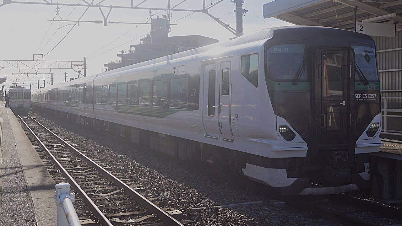E257系5500番台OM-51編成 団臨「御殿場線90周年記念号」 上大井駅発車
