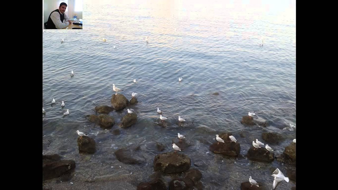 جمع المذكر السالم والملحق به