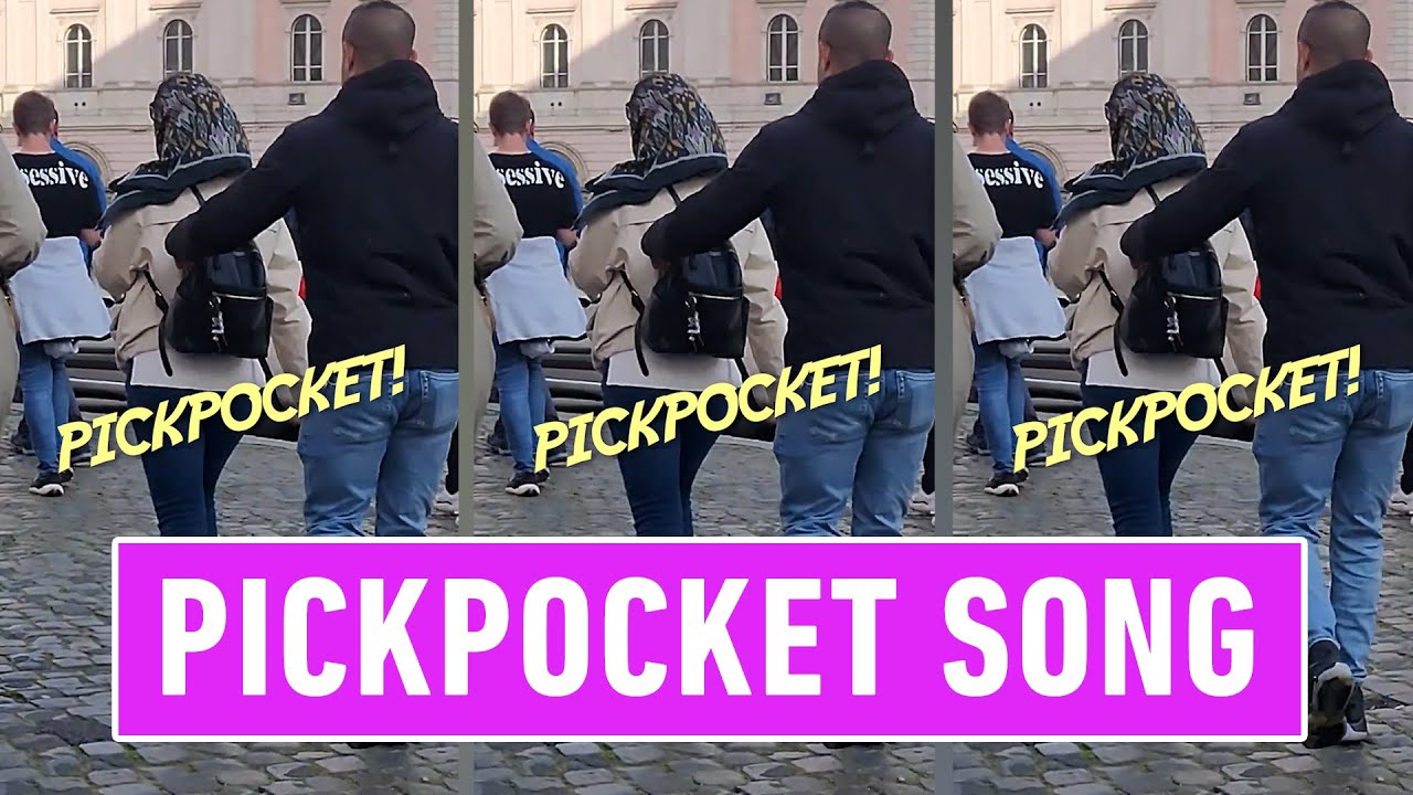 The Pickpocket song - ATTENZIONE! borseggiatrici! REMIX