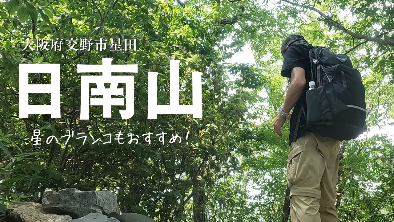 【大阪交野市 日南山】登山｜星のブランコ｜吊り橋｜ほしだ園地｜大阪府民の森｜展望デッキ｜ほしだの森