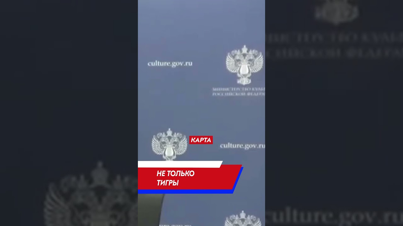 Объяснил министру культуры, зачем нужны цирки👏
