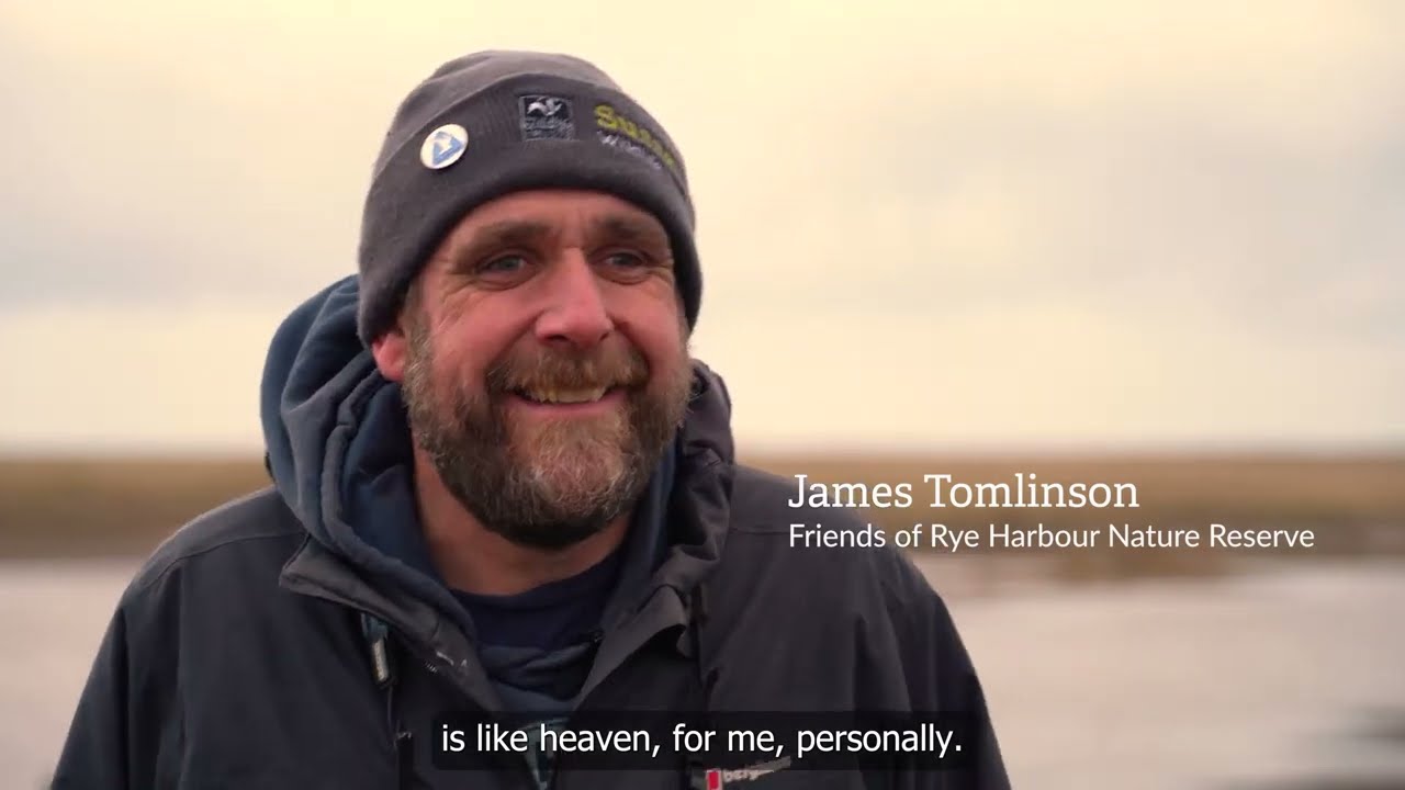 Rye Harbour Nature Reserve: A Special Place