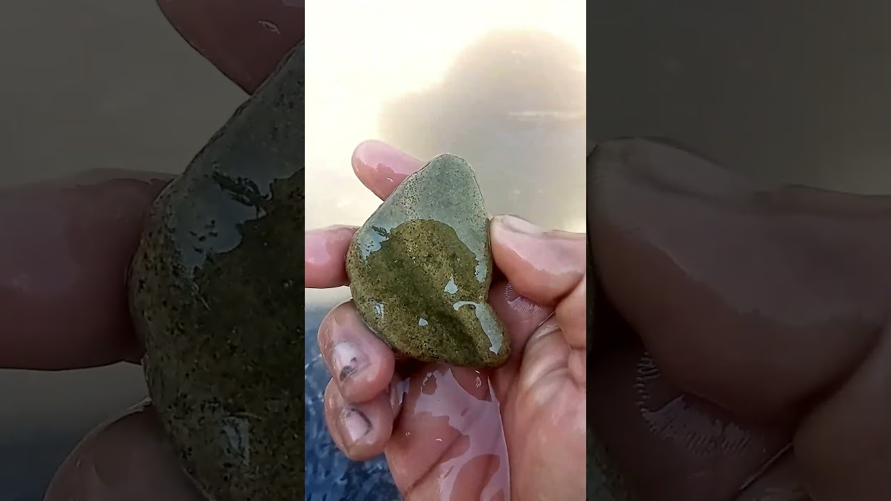 Rocks contains gold #goldrock