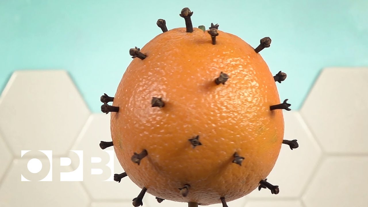 COVID-19 Vaccines, Explained With Fruit | OPB