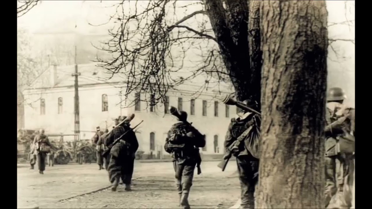 Hungary in January 1945: Young grenadiers
