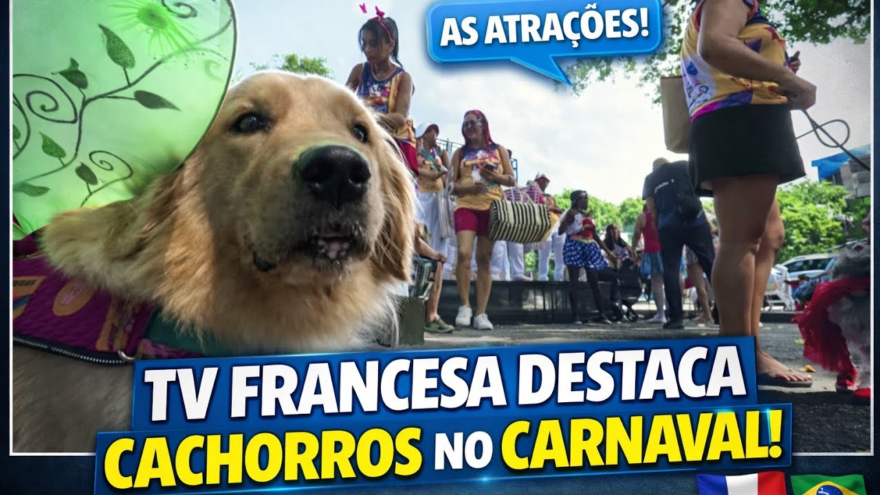 Французский телесериал показывает собак на карнавале! 🇫🇷🇧🇷 #fyp #viral #motivation #curiosities