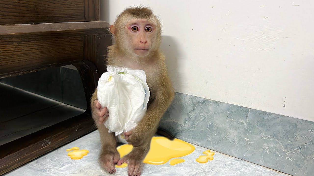 Tina pooped while her dad was in the hospital, no one changed her diaper