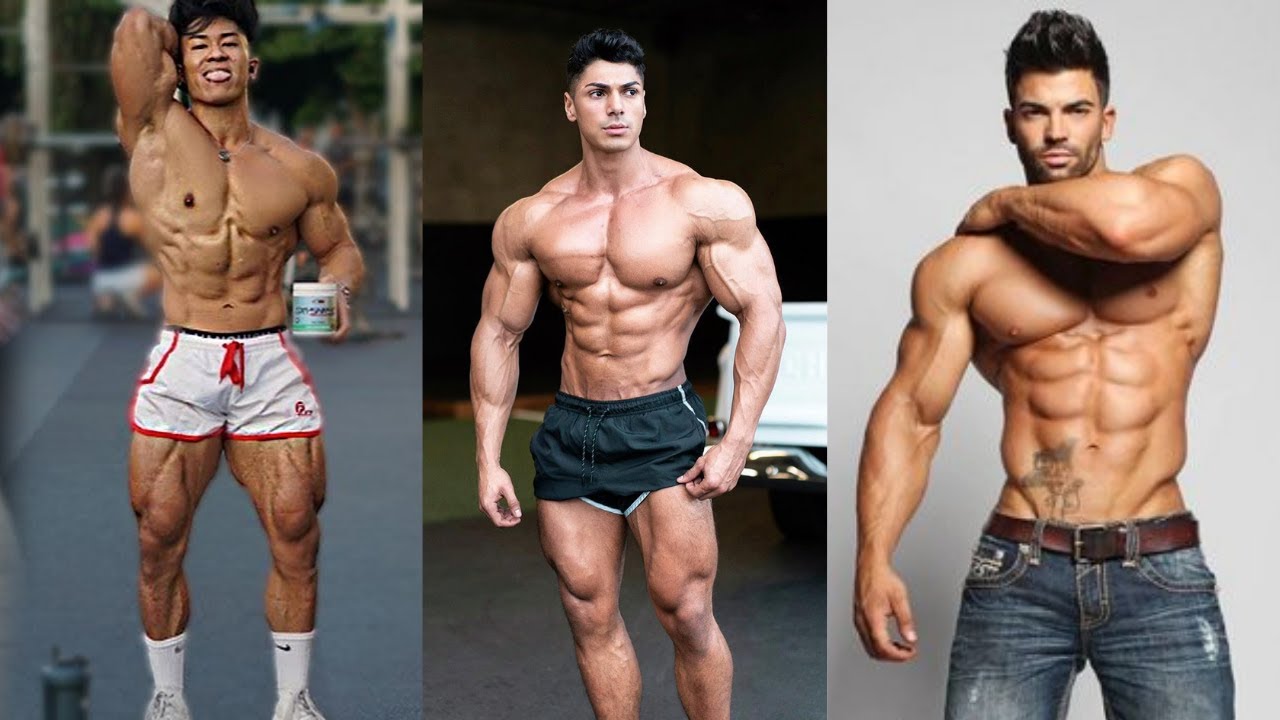 NO GLORY | Sergi Constance | Andrei Deiu | Nyle Nayga | GYM MOTIVATION | BODYBUILDING