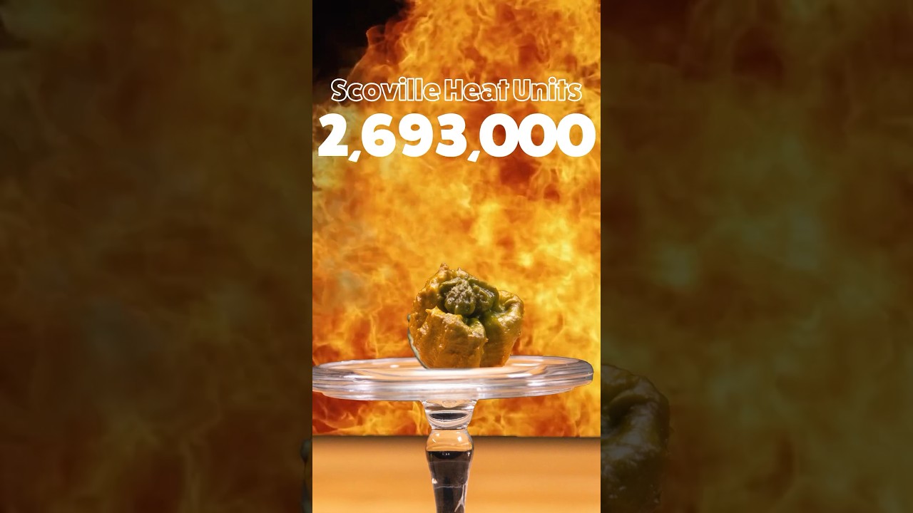 Hottest chilli pepper - 2,693,000 Scoville Heat Units by Pepper X