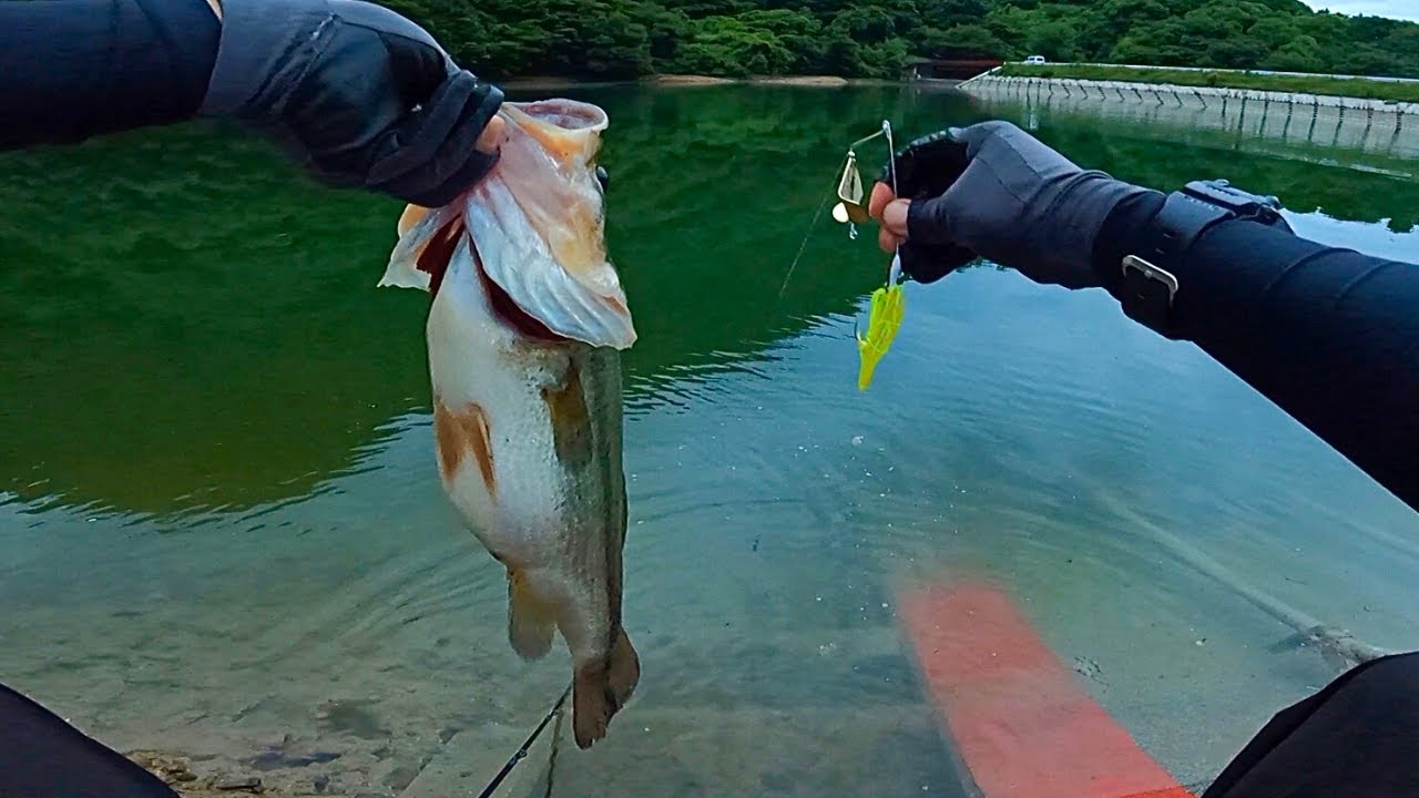 夏のバス釣り、デカバスを釣るなら... このルアーが最強です