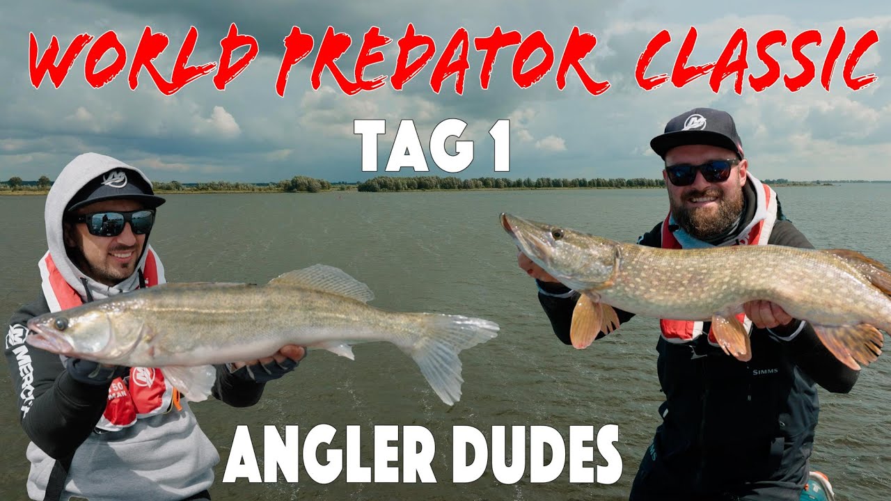 Bringt uns der Monsterzander zum Titel?!? World Predator Classic 23