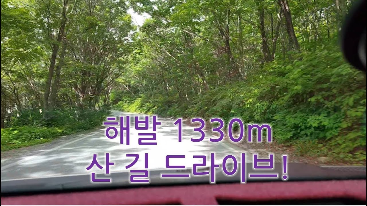 만항재 해발 1,330m 태백 넘어가는 외진 길 진정한 산 드라이브