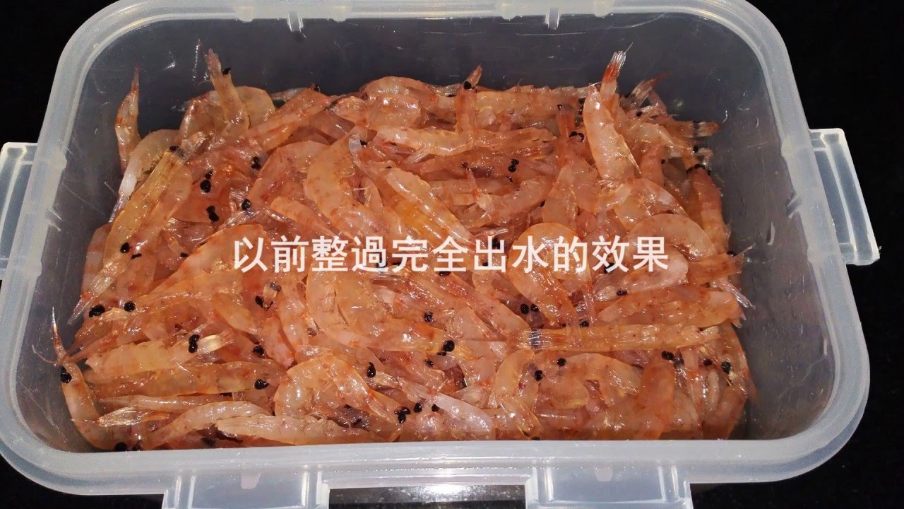 簡易南極蝦釣餌DIY