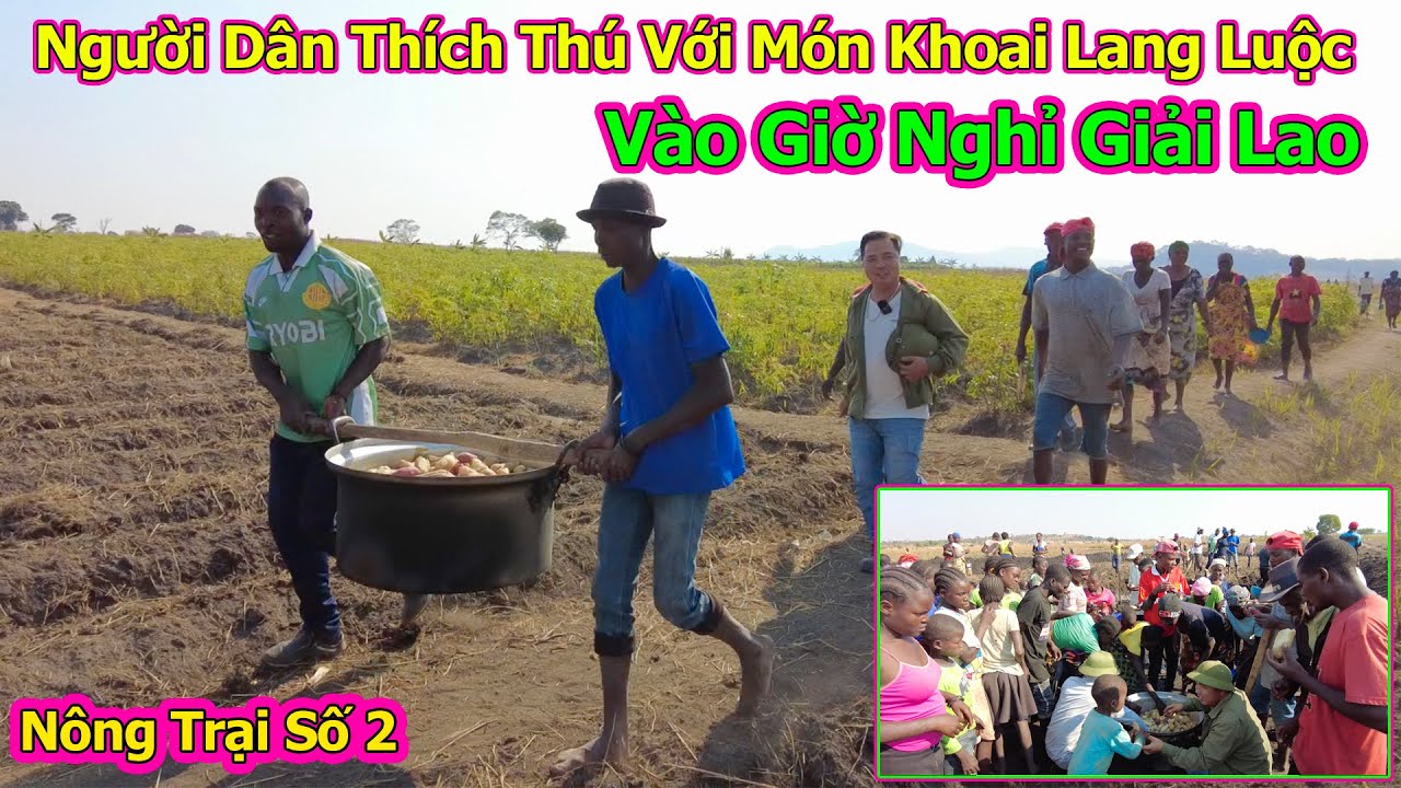Đông Paulo || Người Dân Thích Thú Khi Được Tiếp Tế Món Khoai Lang Nóng Hổi Vào Giờ Nghỉ Giải Lao