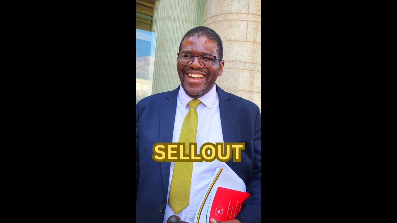 SELLOUT || Zvawakaita Mahwani ||  By Zim Anonymous aka Zimnonymous