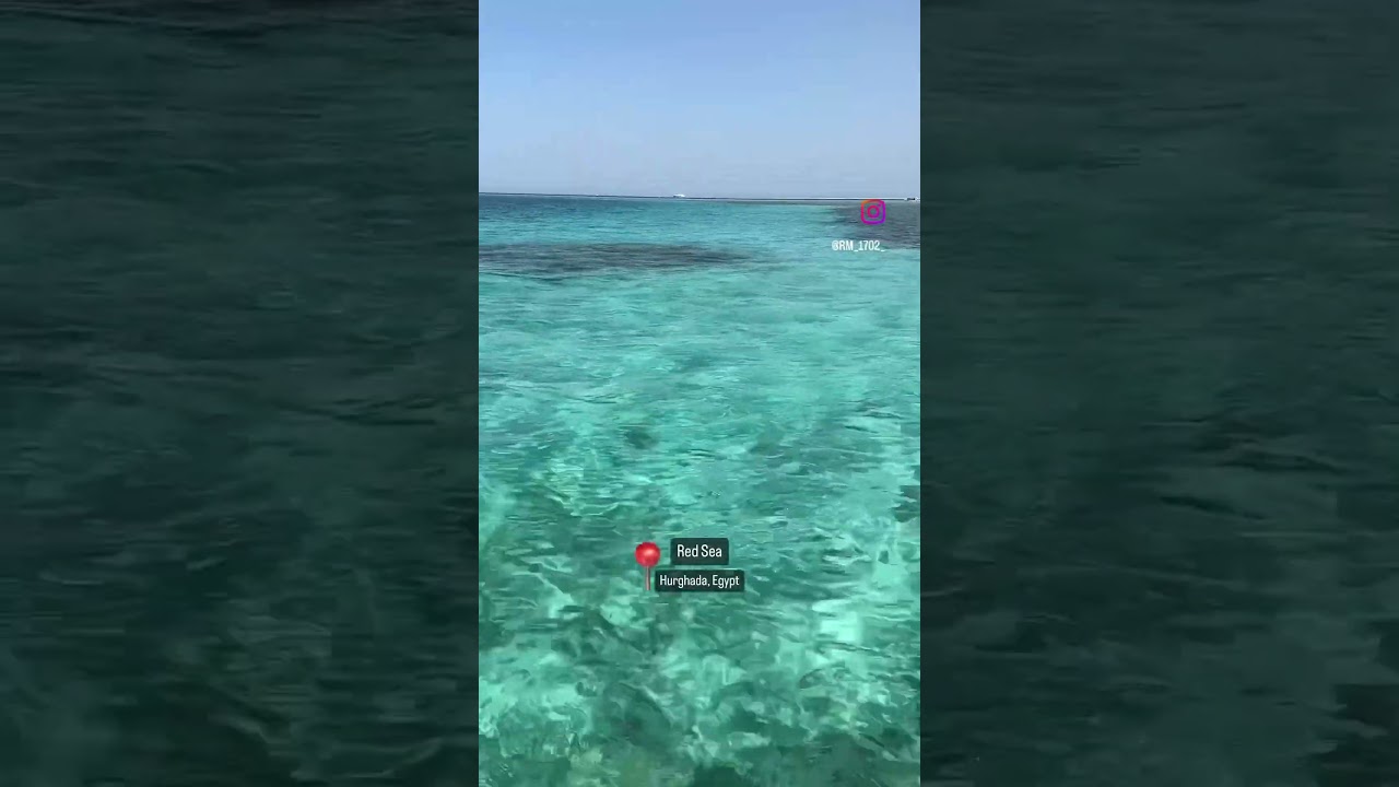 Swimming in the sea is a fantastic experience. #hurghada #redsea #egypt #beach #holiday #travelegypt