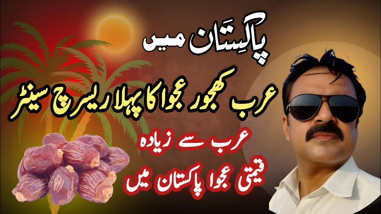 Pakistan Me Arab Ki Ajwa Khajoor ka Qeemti Baagh | Arab se Umda Ajwa Pakistan me
