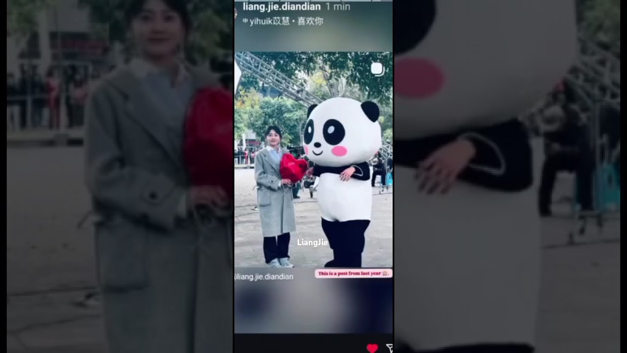 #liangjie ##chenzheyuan ,#drama#thewhiteolivetree2025