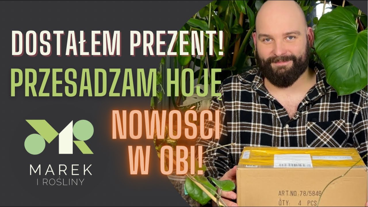 Dostałem prezent! Przesadzam hoję i pokazuję nowości w OBI💪🏻