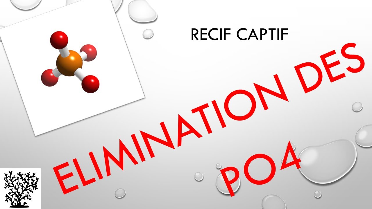 Mettre en place de la résine anti phosphates - Mr Recif Captif #34
