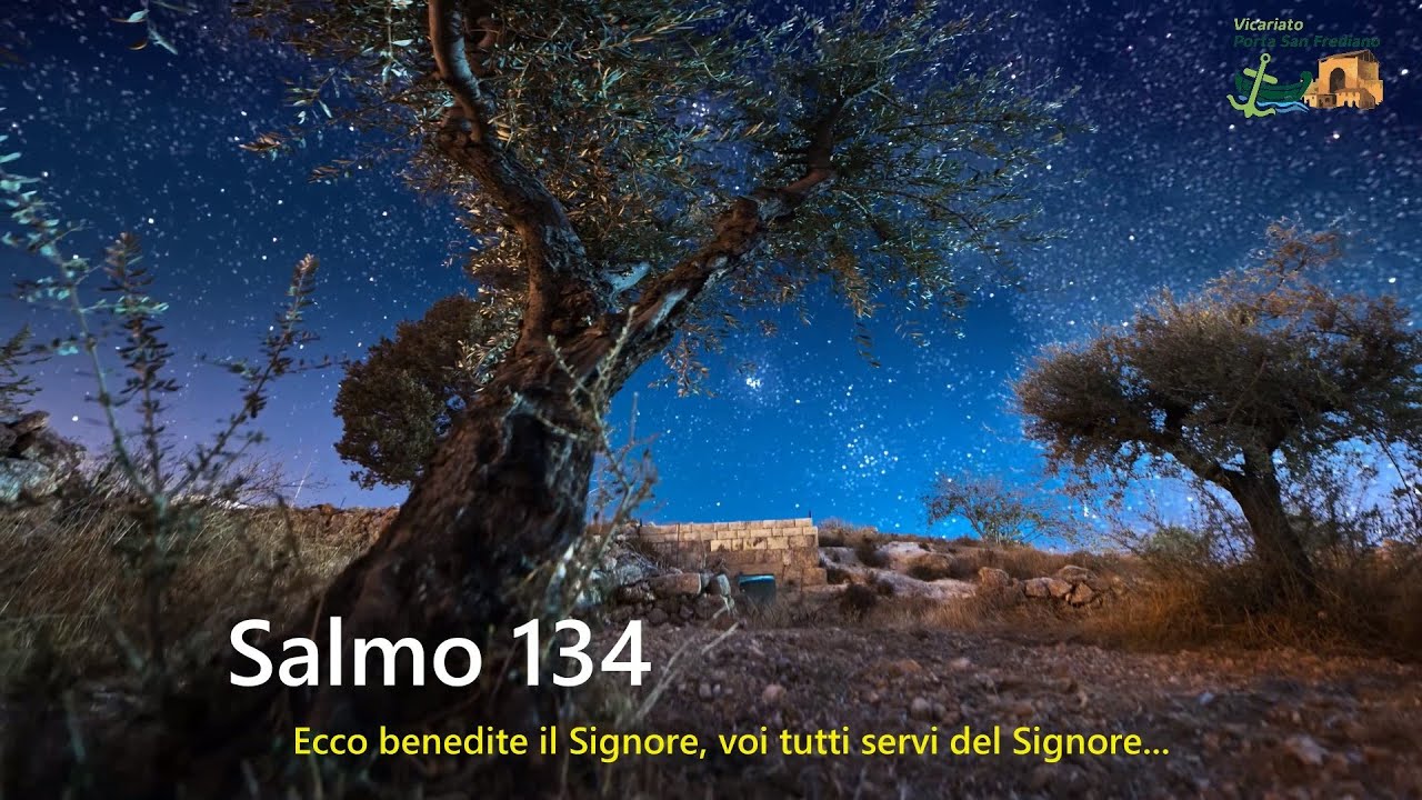 I Salmi delle Salite. Salmo 134 - Don Luca Mazzinghi