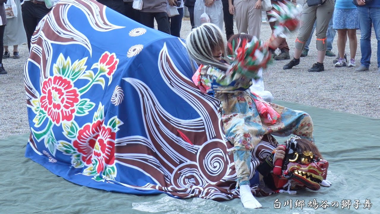 白川郷どぶろく祭り 鳩谷の獅子舞 2024 / 岐阜県白川村