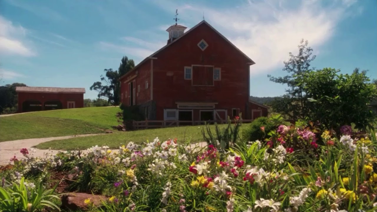 Charlotte&rsquo;s web (2006) - Fern and Avery and the rotten egg