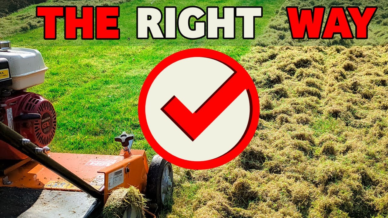 How to scarify like a PRO // Complete beginner's guide to getting it right