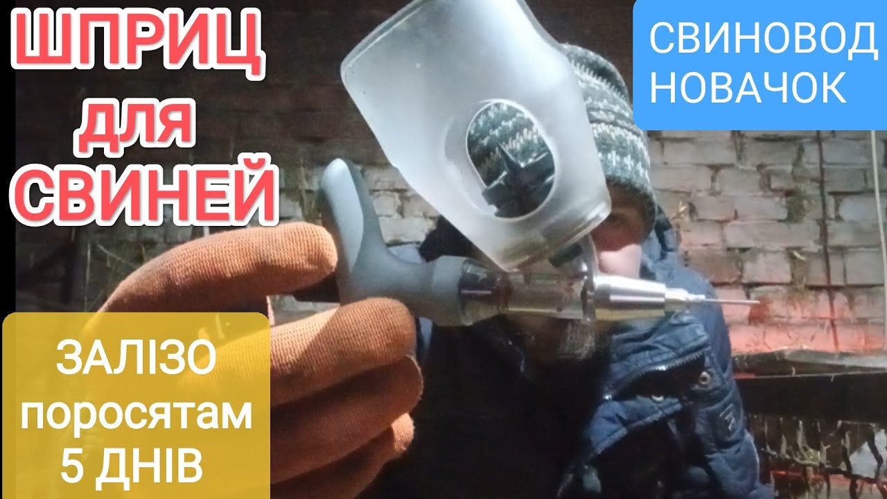 🐖5 днів. 💉ЗАЛІЗО для ПОРОСЯТ. Шприц-автомат для свиней. Свиноводство.