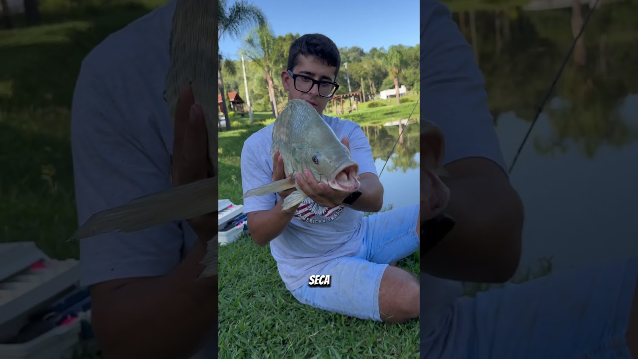 Excesso e com&eacute;rcio de til&aacute;pia ! 🐟 #tilapia #pesca #peixe
