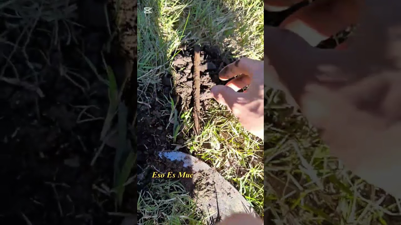 MIR&Aacute; TODO LO QUE ENCONTR&Eacute; EN ESTA EXPLORACI&Oacute;N CON DETECTOR DE METALES 🤠🤯