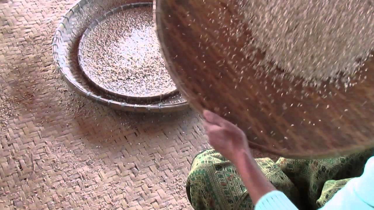 Separating the husks from the grain
