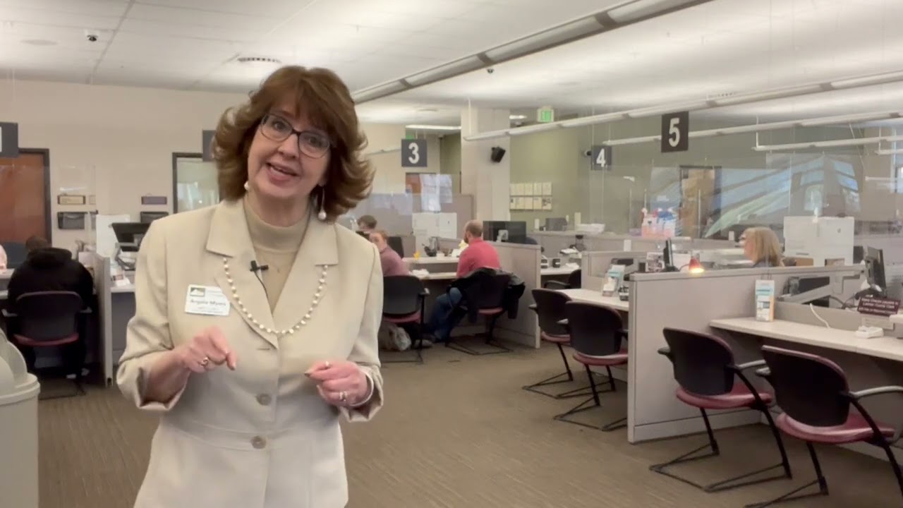 LC101 Clerk and Recorder: Vehicle Licensing