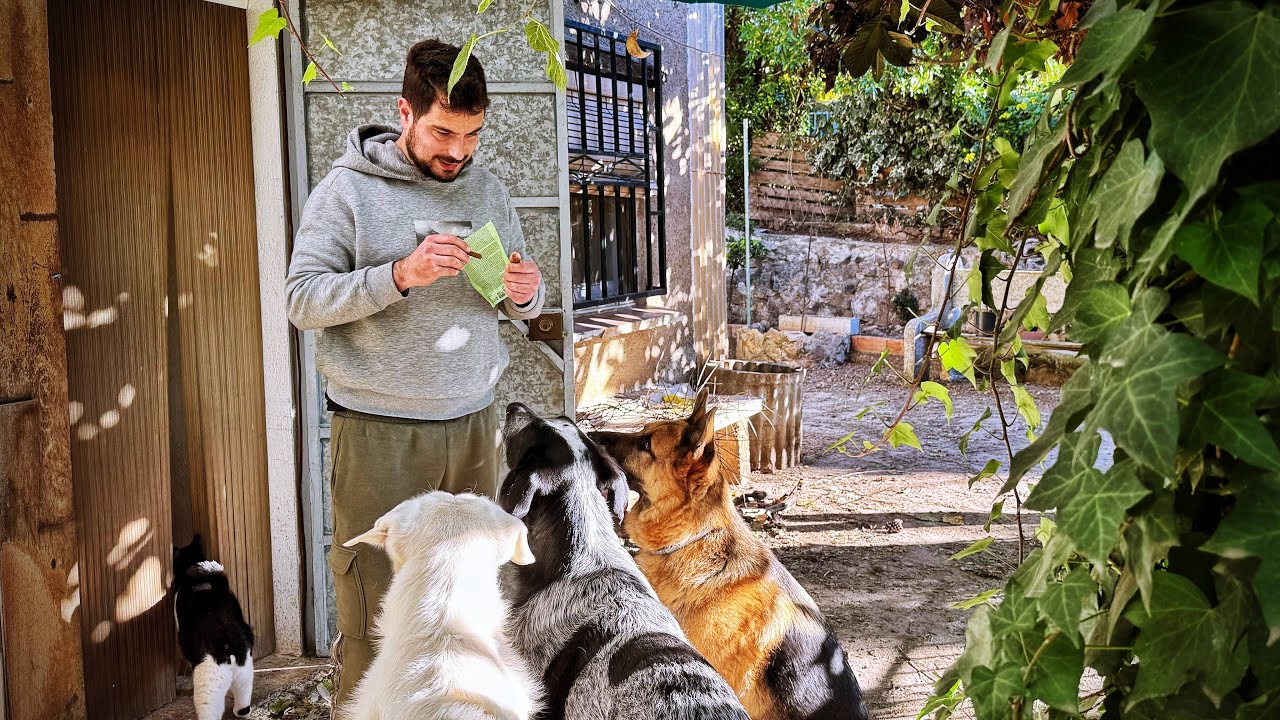 ¿Qué ha pasado con los Animales y la Finca?