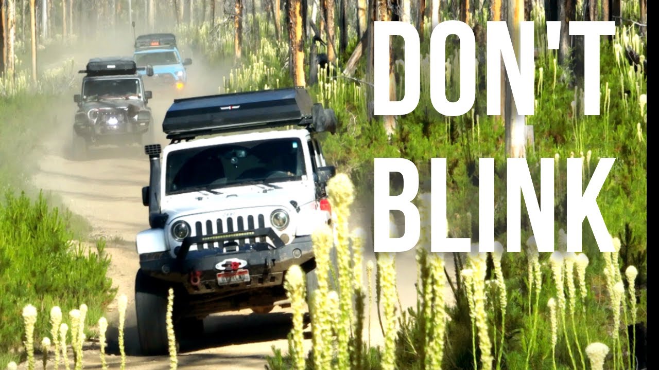 Wide Eyed Wild Ride on Idaho's Most Remote Road | Idaho BDR 4