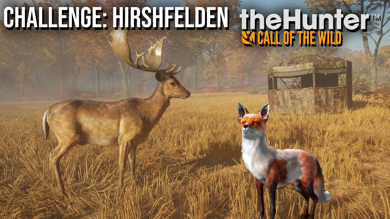 CHALLENGE: Jaga Alla Djur på Hirchfelden | The Hunter Call of The Wild