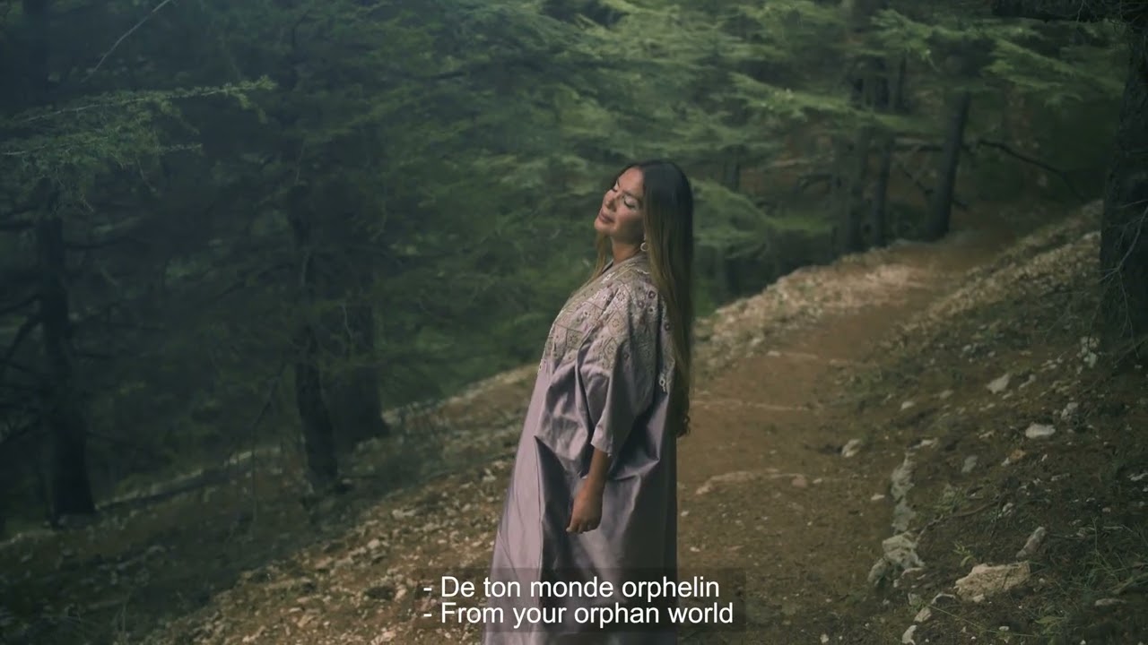 CEDRUS LIBANI - Pascale Ojeil