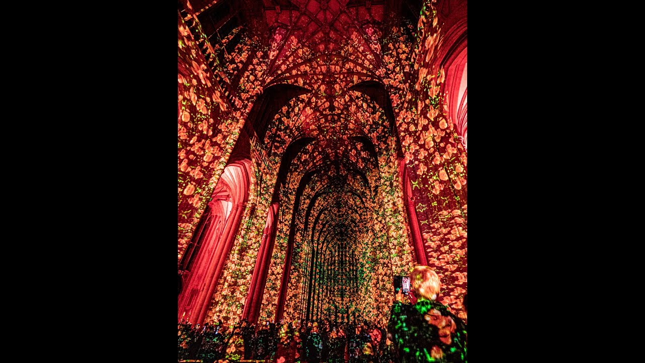 Poppy Fields by Luxmuralis at Winchester Cathedral
