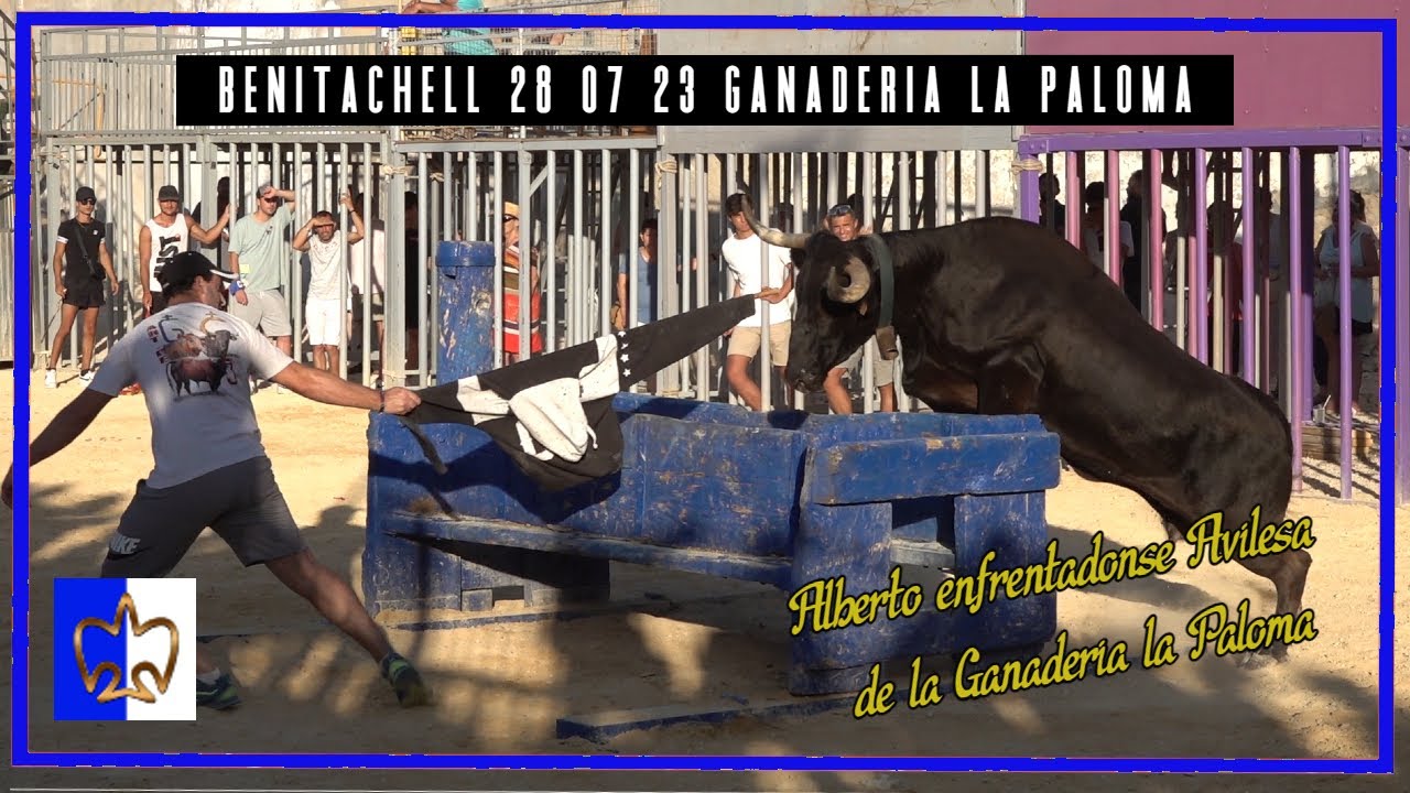 Benitachell 28 ▪ 07 ▪ 23 Tarde de la Ganadería la Paloma